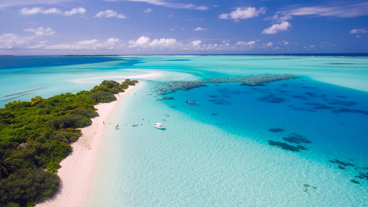 https://pixabay.com/users/12019 https://pixabay.com/users/12019