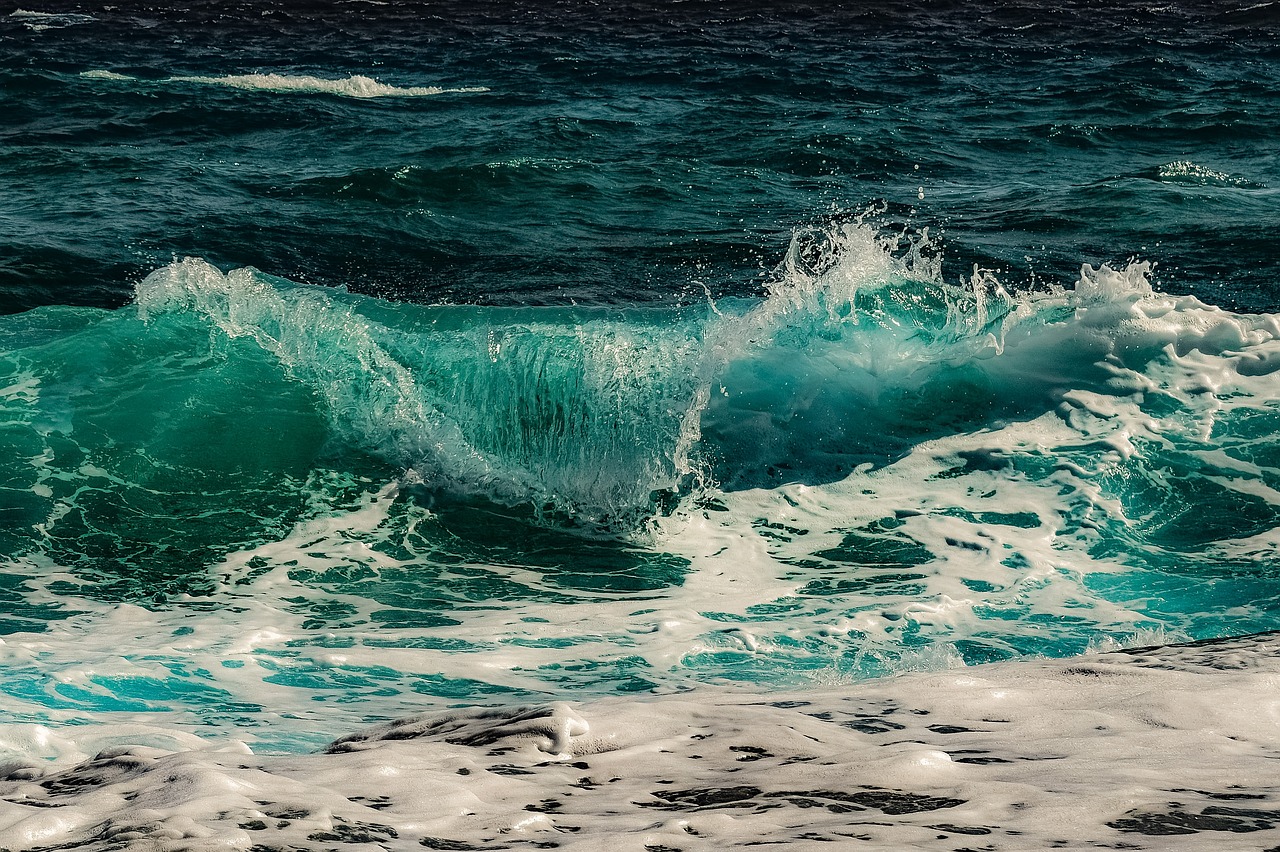 https://pixabay.com/users/1857980 https://pixabay.com/users/1857980